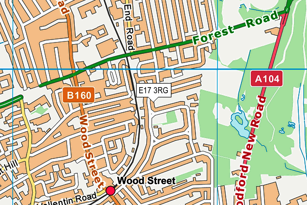 E17 3RG map - OS VectorMap District (Ordnance Survey)