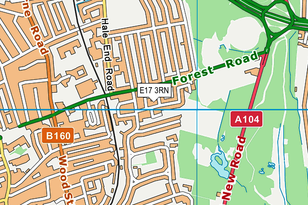 E17 3RN map - OS VectorMap District (Ordnance Survey)