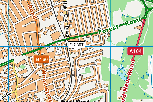 E17 3RT map - OS VectorMap District (Ordnance Survey)