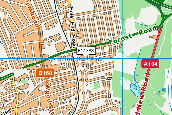 E17 3SS map - OS VectorMap District (Ordnance Survey)