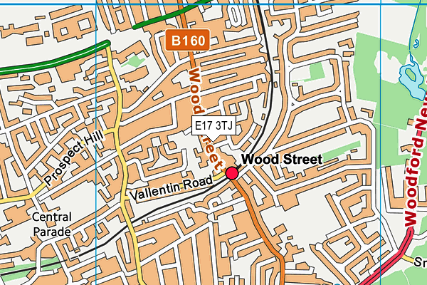 E17 3TJ map - OS VectorMap District (Ordnance Survey)