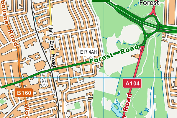 E17 4AH map - OS VectorMap District (Ordnance Survey)