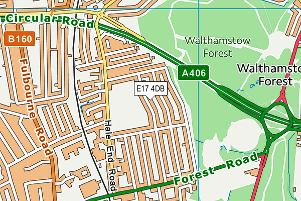 E17 4DB map - OS VectorMap District (Ordnance Survey)