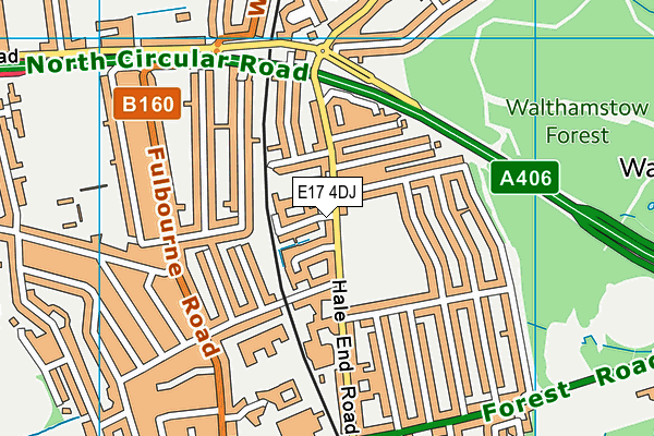 E17 4DJ map - OS VectorMap District (Ordnance Survey)