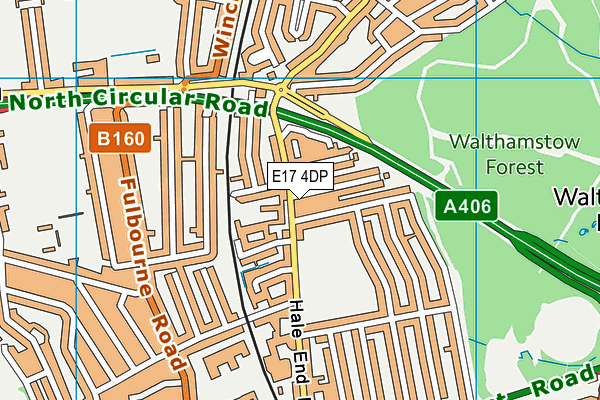 Thorpe Hall Primary School map (E17 4DP) - OS VectorMap District (Ordnance Survey)