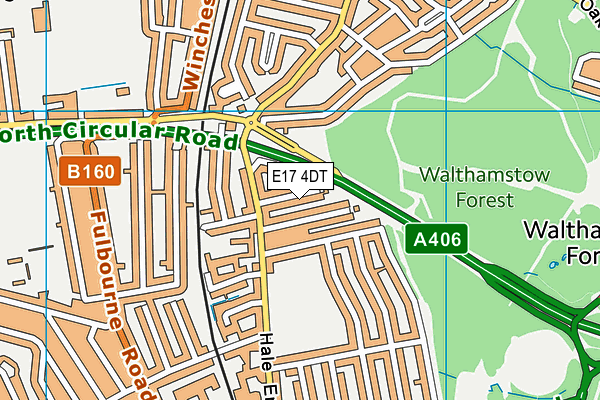 E17 4DT map - OS VectorMap District (Ordnance Survey)