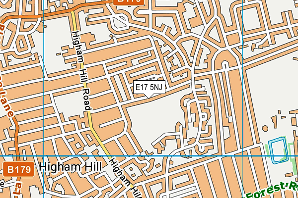 E17 5NJ map - OS VectorMap District (Ordnance Survey)