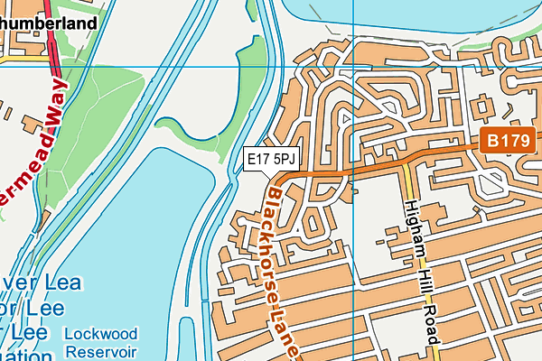 E17 5PJ map - OS VectorMap District (Ordnance Survey)