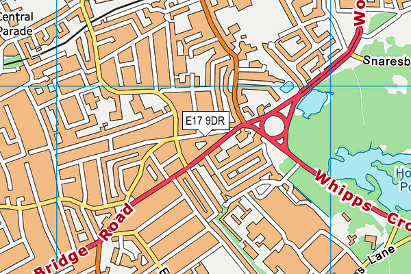 E17 9DR map - OS VectorMap District (Ordnance Survey)