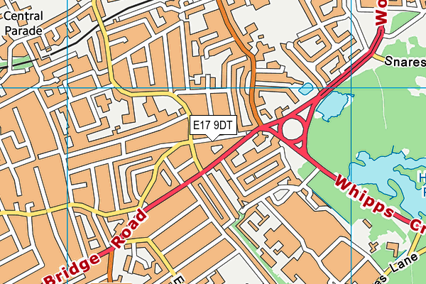 E17 9DT map - OS VectorMap District (Ordnance Survey)