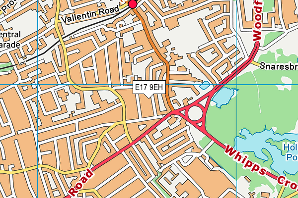 E17 9EH map - OS VectorMap District (Ordnance Survey)