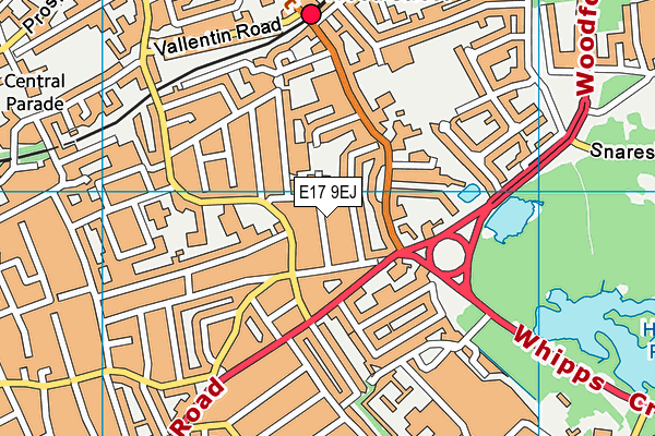 E17 9EJ map - OS VectorMap District (Ordnance Survey)