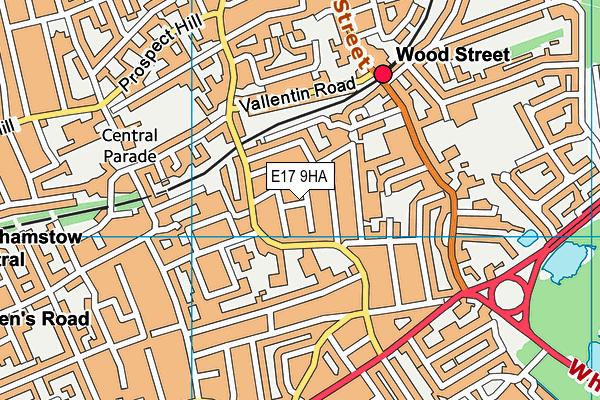 E17 9HA map - OS VectorMap District (Ordnance Survey)