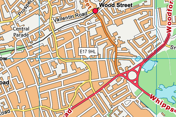 E17 9HL map - OS VectorMap District (Ordnance Survey)