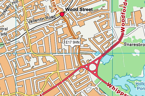 E17 9HN map - OS VectorMap District (Ordnance Survey)