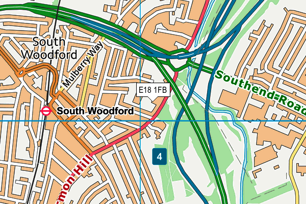 E18 1FB map - OS VectorMap District (Ordnance Survey)