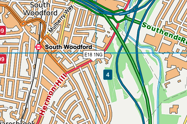 E18 1NG map - OS VectorMap District (Ordnance Survey)