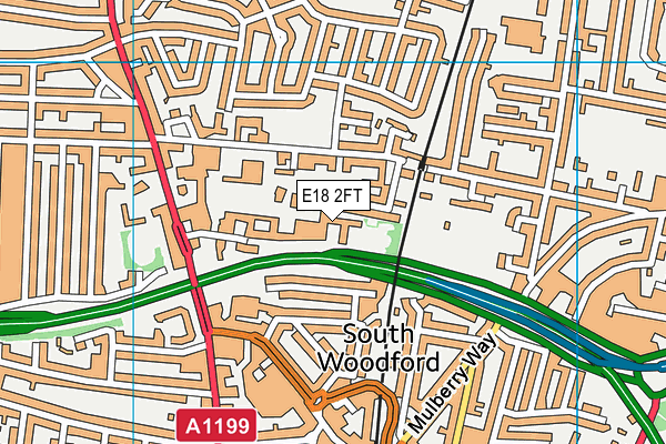 E18 2FT map - OS VectorMap District (Ordnance Survey)