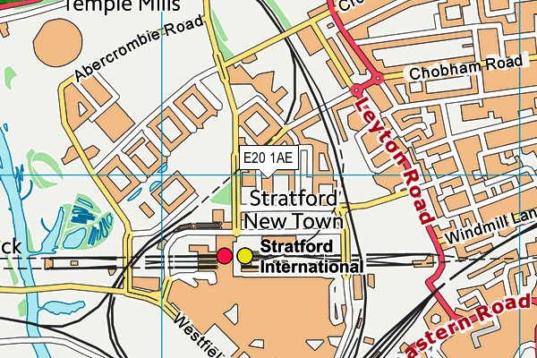 E20 1AE map - OS VectorMap District (Ordnance Survey)