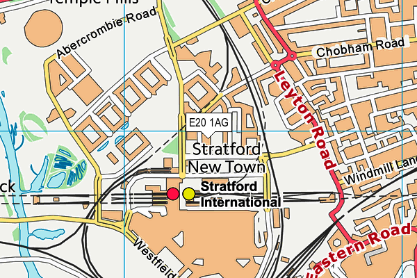 E20 1AG map - OS VectorMap District (Ordnance Survey)