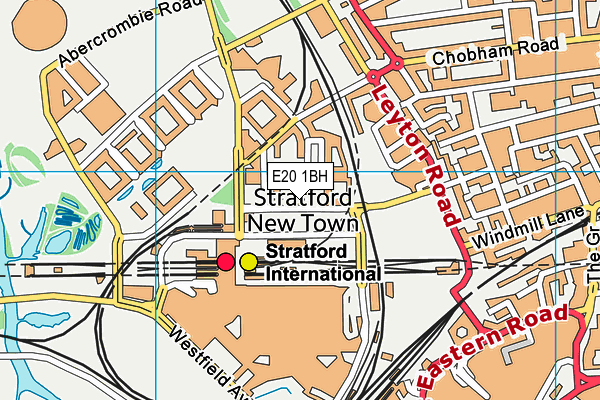 E20 1BH map - OS VectorMap District (Ordnance Survey)