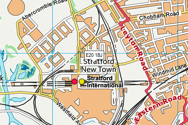 E20 1BJ map - OS VectorMap District (Ordnance Survey)