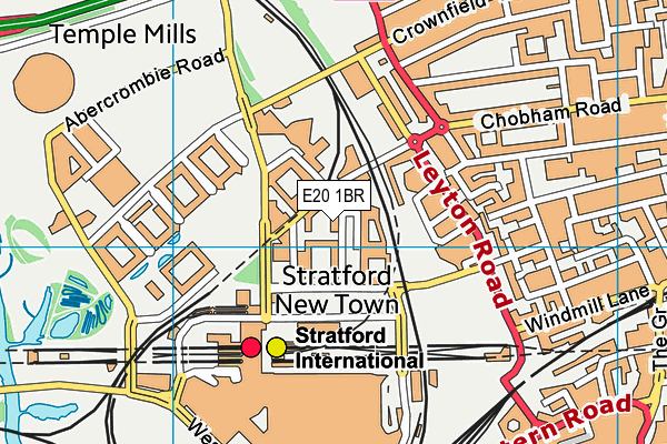 E20 1BR map - OS VectorMap District (Ordnance Survey)