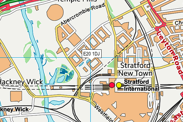 E20 1DJ map - OS VectorMap District (Ordnance Survey)