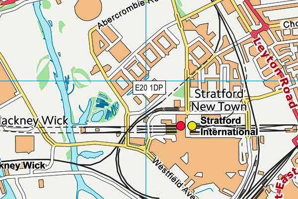 E20 1DP map - OS VectorMap District (Ordnance Survey)