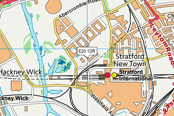 E20 1DR map - OS VectorMap District (Ordnance Survey)