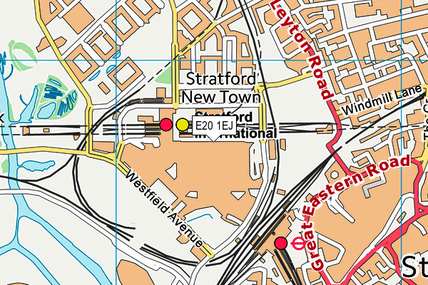 E20 1EJ map - OS VectorMap District (Ordnance Survey)