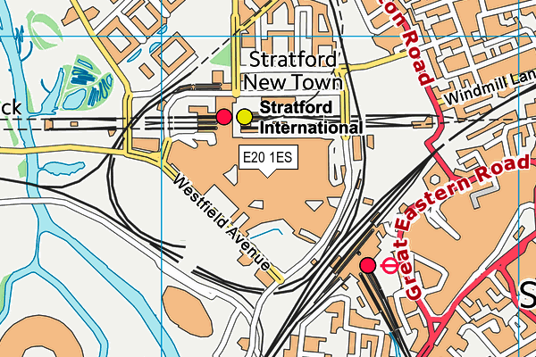 E20 1ES map - OS VectorMap District (Ordnance Survey)