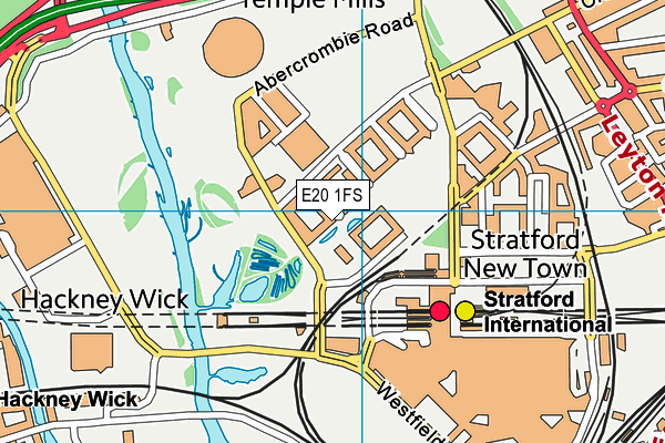 E20 1FS map - OS VectorMap District (Ordnance Survey)
