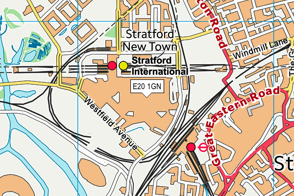 E20 1GN map - OS VectorMap District (Ordnance Survey)