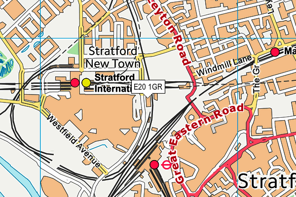 E20 1GR map - OS VectorMap District (Ordnance Survey)