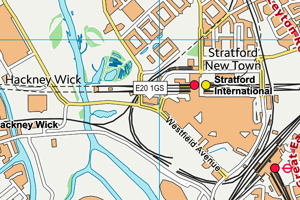 E20 1GS map - OS VectorMap District (Ordnance Survey)