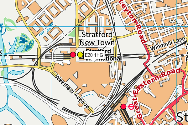 E20 1HG map - OS VectorMap District (Ordnance Survey)