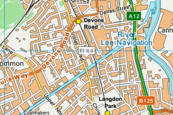 E3 3LG map - OS VectorMap District (Ordnance Survey)