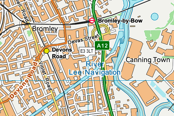 E3 3LT map - OS VectorMap District (Ordnance Survey)