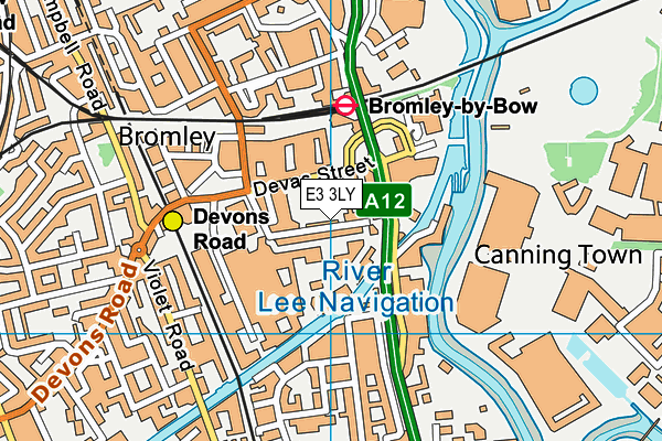 E3 3LY map - OS VectorMap District (Ordnance Survey)