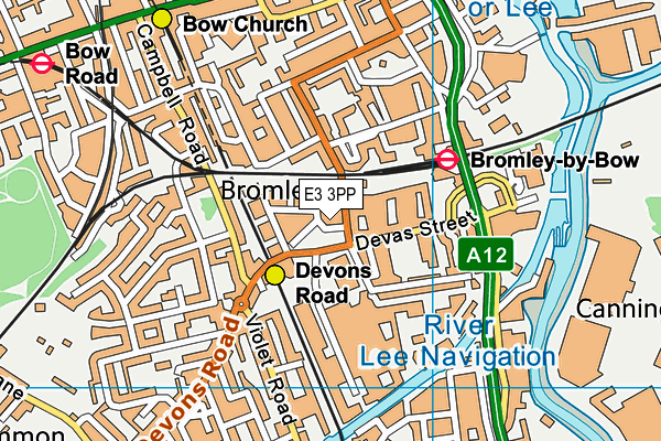 E3 3PP map - OS VectorMap District (Ordnance Survey)