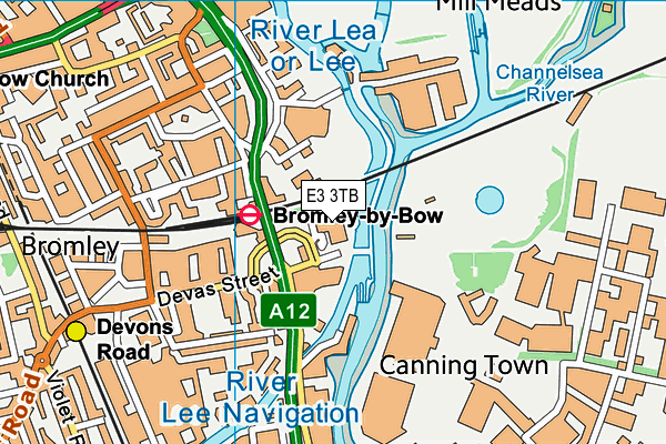 E3 3TB map - OS VectorMap District (Ordnance Survey)