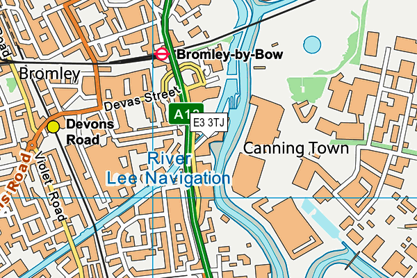 E3 3TJ map - OS VectorMap District (Ordnance Survey)