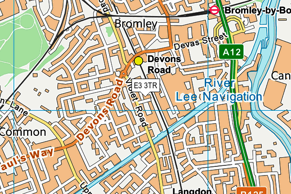 E3 3TR map - OS VectorMap District (Ordnance Survey)