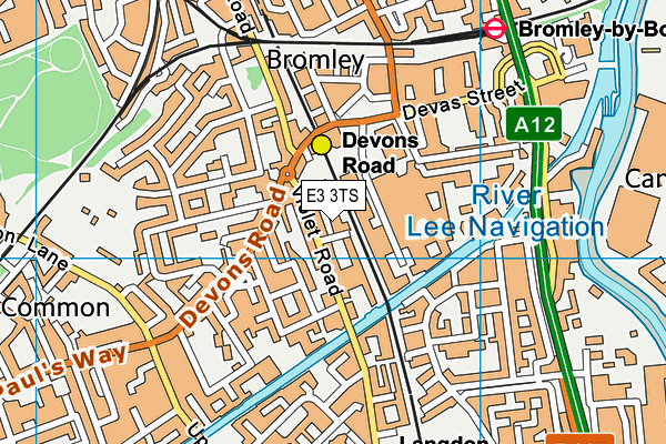 E3 3TS map - OS VectorMap District (Ordnance Survey)