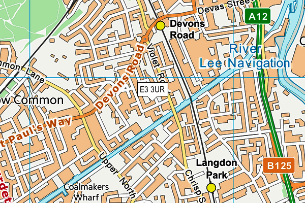 E3 3UR map - OS VectorMap District (Ordnance Survey)