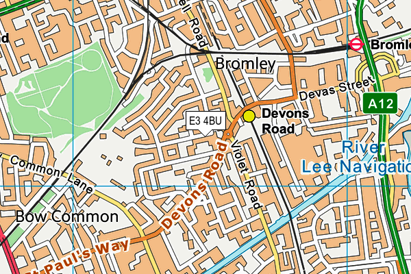 The Clara Grant Primary School map (E3 4BU) - OS VectorMap District (Ordnance Survey)