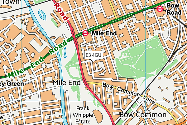 E3 4GU map - OS VectorMap District (Ordnance Survey)