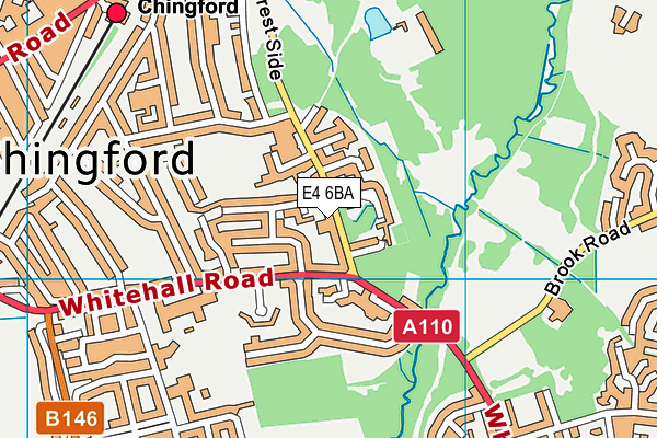 E4 6BA map - OS VectorMap District (Ordnance Survey)