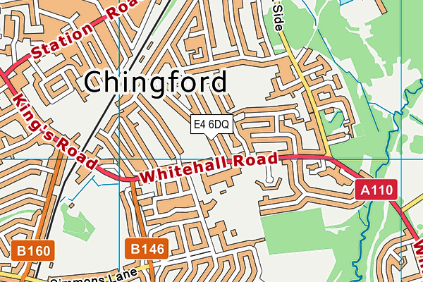 E4 6DQ map - OS VectorMap District (Ordnance Survey)